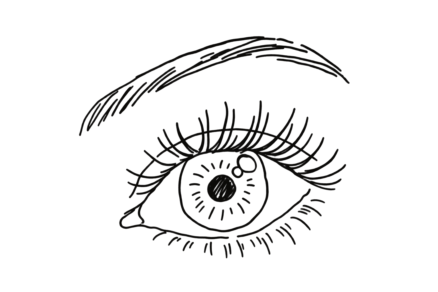 Illustration of an eye with full, curled classic lashes